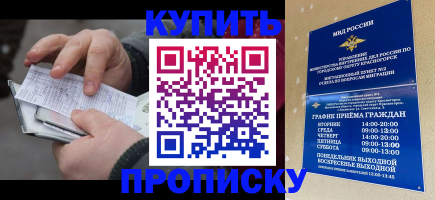 временная регистрация недорого в Плавске